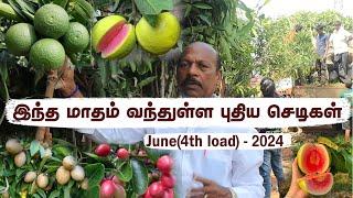 Pt4 June Load-உங்க தோட்டத்திற்கு எந்த செடிகளை வளர்க்கலாம் னு தெரியுமா? | Perfect Plants for Garden?