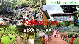 Kakoijana #Bongaigaon / The home of Golden Langur #kakoijana #bongaigaon #Langur