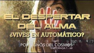 EL DESPERTAR EL ALMA -¿Vives en "automático"?