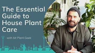 Essential Guide to House Plant Care with Mr Plant Geek | PrimroseTV