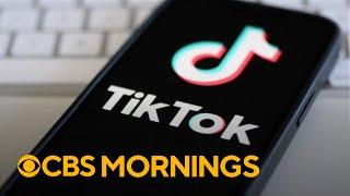 New proposal could allow U.S. government to invest in TikTok