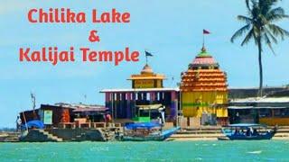 Chilika Lake Odisha || India's Largest Lake || Odisha Tourism