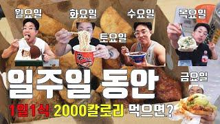 일주일동안 1일1식 2000칼로리 먹으면 살찌는지 안찌는지 실험 최종. 인바디 측정 다이어트 결과 포함