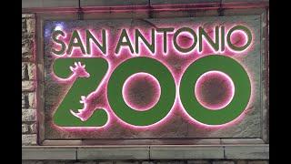 San Antonio Zoo | Amazinglifetripusa