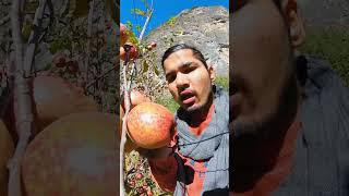 Apple bite  #manang