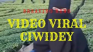 NEWS | VIDEO VIRAL DI CIWIDEY