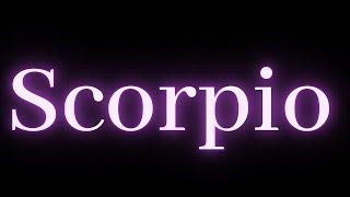 🩷SCORPIO️SOMEONES IN LOVE WITH U AND THEY WILL TALK TO U VERY SOON!! MONEY AND STABILITY! FEB5-13