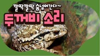 깔딱깔딱 숨이 넘어가는 두꺼비 울음소리ㅎKOREAN Upbeat toad sound