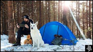 Winter Camping With A Gamer And His Dogs