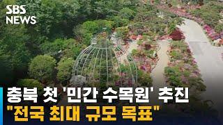 충북 첫 '민간 수목원' 추진…"전국 최대 규모 목표" / SBS