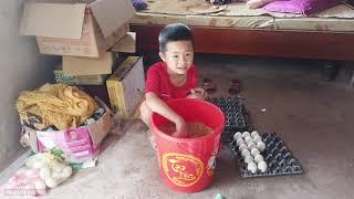 The Boy Folded The Eggs | Vietnam Village