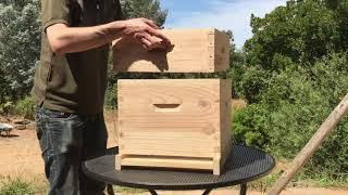 Débuter en apiculture. : ruche Dadant 10 cadres, éléments et assemblage