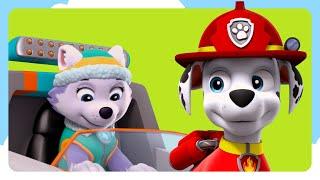 PAW Patrol Marshall Pup Tales Rescues  | Spin Kids Cartoons | Cartoons for Kid