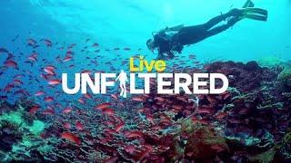 Learn To Dive - Live Unfiltered