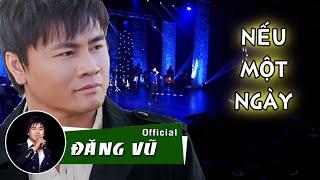 Nếu Một Ngày | Đăng Vũ Liveshow mới nhất ở Mỹ