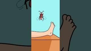 Mosquito Bite  | #shorts #animation #cartoon