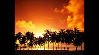 Delakota - The Rock (No Handshakes Mix)