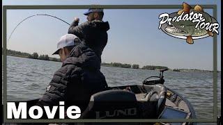  EUROPEAN PREDATOR FISHING COMPETITION 2023  PredatorTour Netherlands | Pike Zander Perch fishing