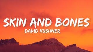 David Kushner-Skin and Bones[Lyrics]