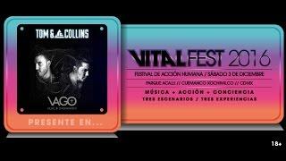 Tom & Collins - Vital Fest 2016