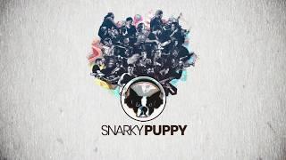 Snarky Puppy w/ Alina Engibaryan at Atomic Cowboy Pavilion  5/19/19