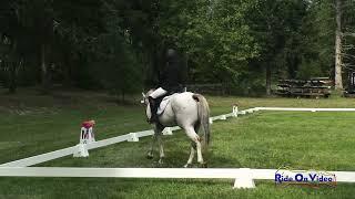 283D Monica Caiado on Into Infinity And Beyond Open Beginner Novice Dressage Aspen Farms Sept. 2024