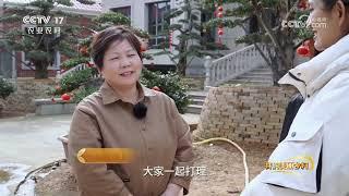 《我的美丽乡村》 20230505 渡头村的美家美户|农业致富经 Agriculture And Farming