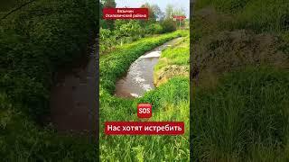 Беларус рассказал о том, как жителей деревни пытают зловониями   #беларусь #belarus #экология
