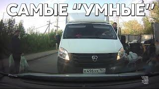 Подборка САМЫХ "УМНЫХ" водителей #1135