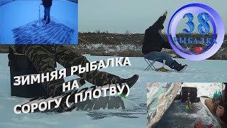 зимняя рыбалка на сорогу ( плотву)
