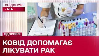 Нові дослідження! Як коронавірус впливає на ракові клітини?