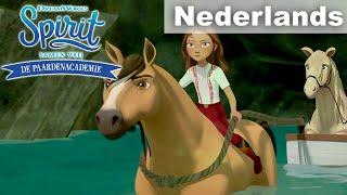 De paardenacademie deel 2 promo | SPIRIT - SAMEN VRIJ | NETFLIX