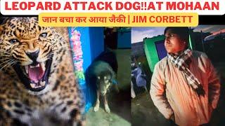 Leopard Attack Dog‼️At Mohaan | Jim Corbett