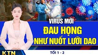 TỐI 01/2: Giá xăng, dầu và gas đồng loạt tăng; Nhiều chi nhánh ngân hàng không có thưởng Tết