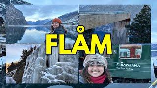 [NORDIC TRIP EP2]: FLÅM | NORWAY | SCENIC TRAIN RIDE | FLÅMSBANA | STEGASTEIN | VIKING VILLAGE