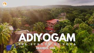 Adiyogam The School of Yoga Goa | 200 Hatha YTT| 50 Hr Aerial TTC | Yoga Retreat
