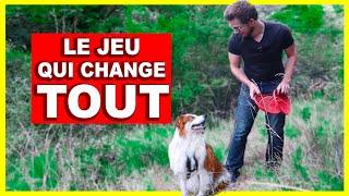 Jouer en promenade - Le secret d'un chien bien éduqué