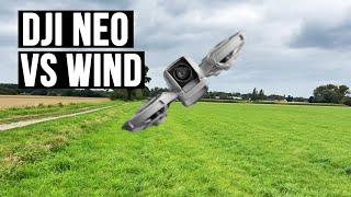 DJI Neo vs. Wind: Hält sie durch? Videoqualität im Vergleich zur Hover Air X1.