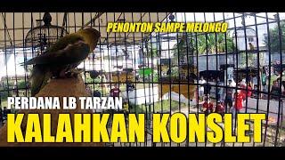 TARZAN KALAHKAN KONSLET