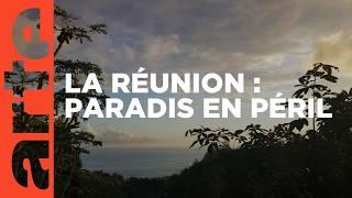 Laboratoire de l'évolution | L'île de La Réunion | ARTE