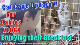 My Furbabies Eating Breakfast and Cage Update | Bhien De Castro