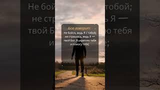 Не бойся ничего, Бог с тобой. Только будь верен Ему.  #библия #бог #христианство #вера #освобождение