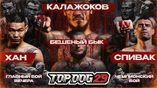 Kalazhokov VS Mad Bull, Khan VS Spivak | Championship bout, Main Event | TOP DOG 29