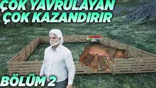 HAYVANCILIGA BASLANDİK ÜRETİP KESECEZ | RANCH SİMULATOR OYNANIŞ BOLUM 2