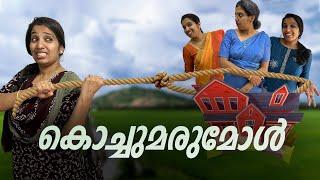 കൊച്ചുമരുമകൾ  #ponnuannamanu #nathoonz