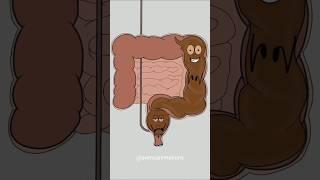 how poop system works!  (best animation memes) #shorts