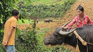 Process of renovating and expanding the vegetable garden of a 21-year-old single mother | La Thi Lan