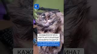 Как выбрать подарок на 8 марта?