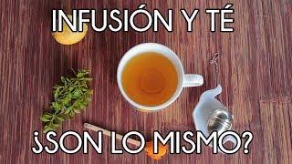 Diferencias entre infusión y té | un té con Daniela