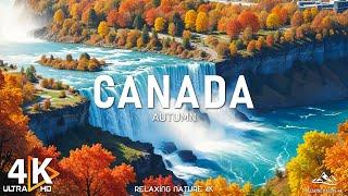 Canada 4K - Breathtaking Autumn in Canada: Exploring the Fall Colors